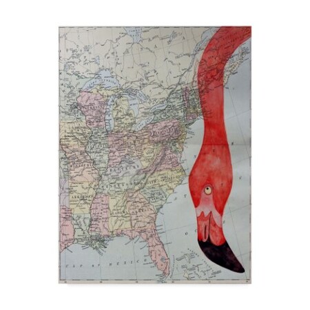 Trademark Fine Art Jane Wilson 'Hello Flamingo' Canvas Art, 14x19 ALI36816-C1419GG